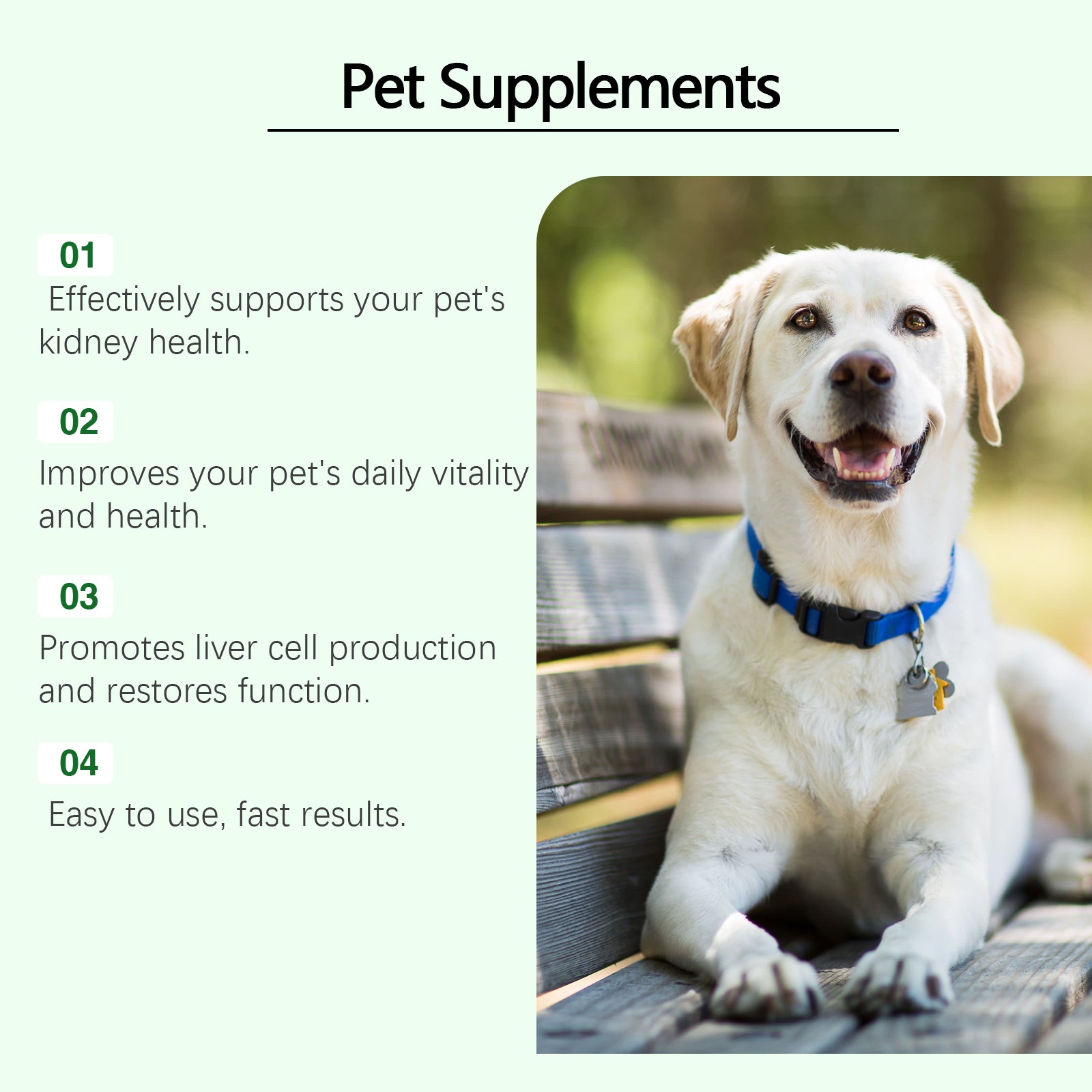 Yegbong Pet Care Supplement to Enhance Pet Health Gentle Ingredient Care Supplement