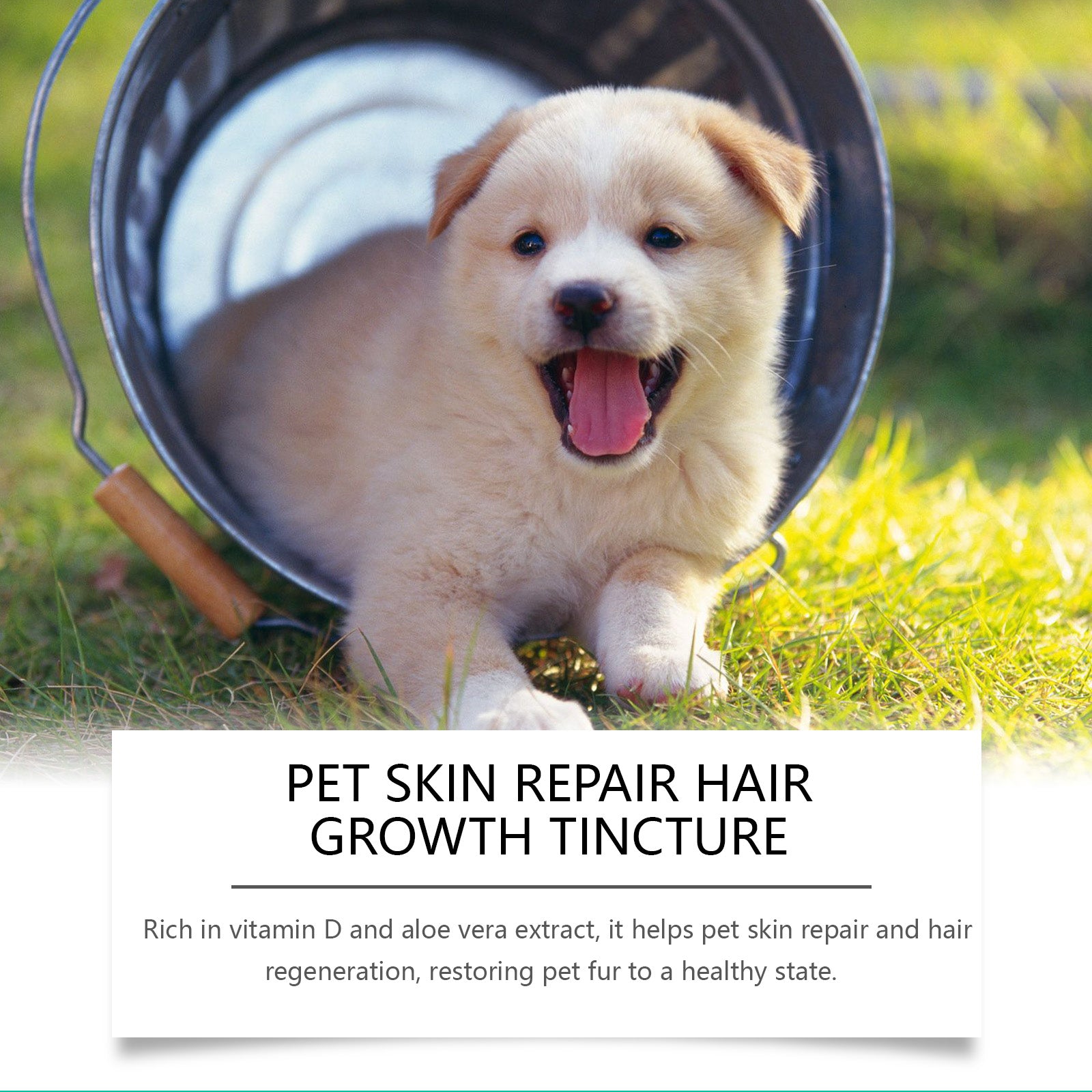 Pet Skin Repair Drops, Cat and Dog Skin Spray Hair Repair Nutrition Massage Care Agent