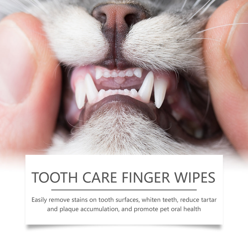 Cat and dog teeth wipes, pet cleaning teeth tartar cleaning repair fresh care finger cots