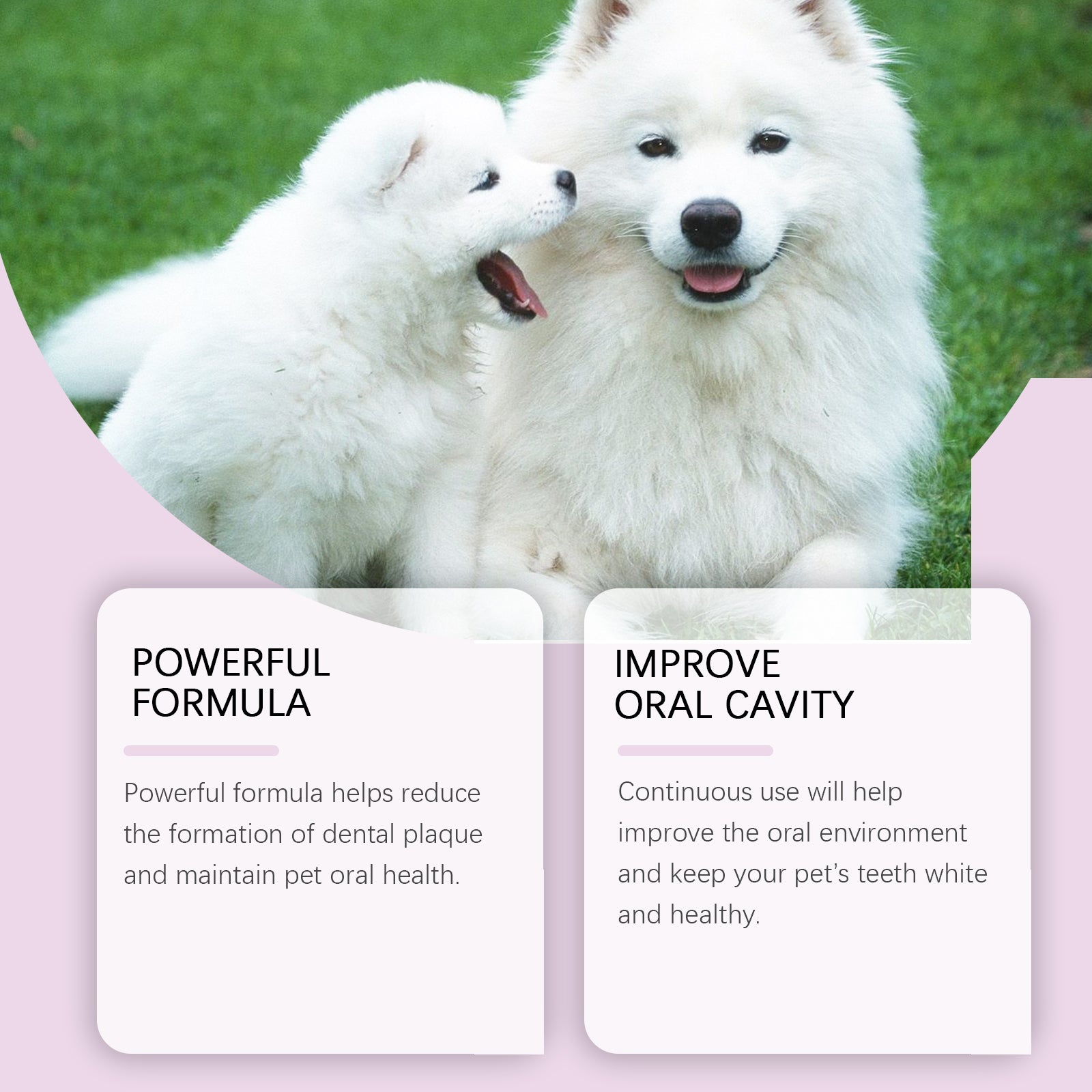 Pet tooth spray, pampering and cleaning pet oral teeth to remove tooth stains Tooth yellow care spray