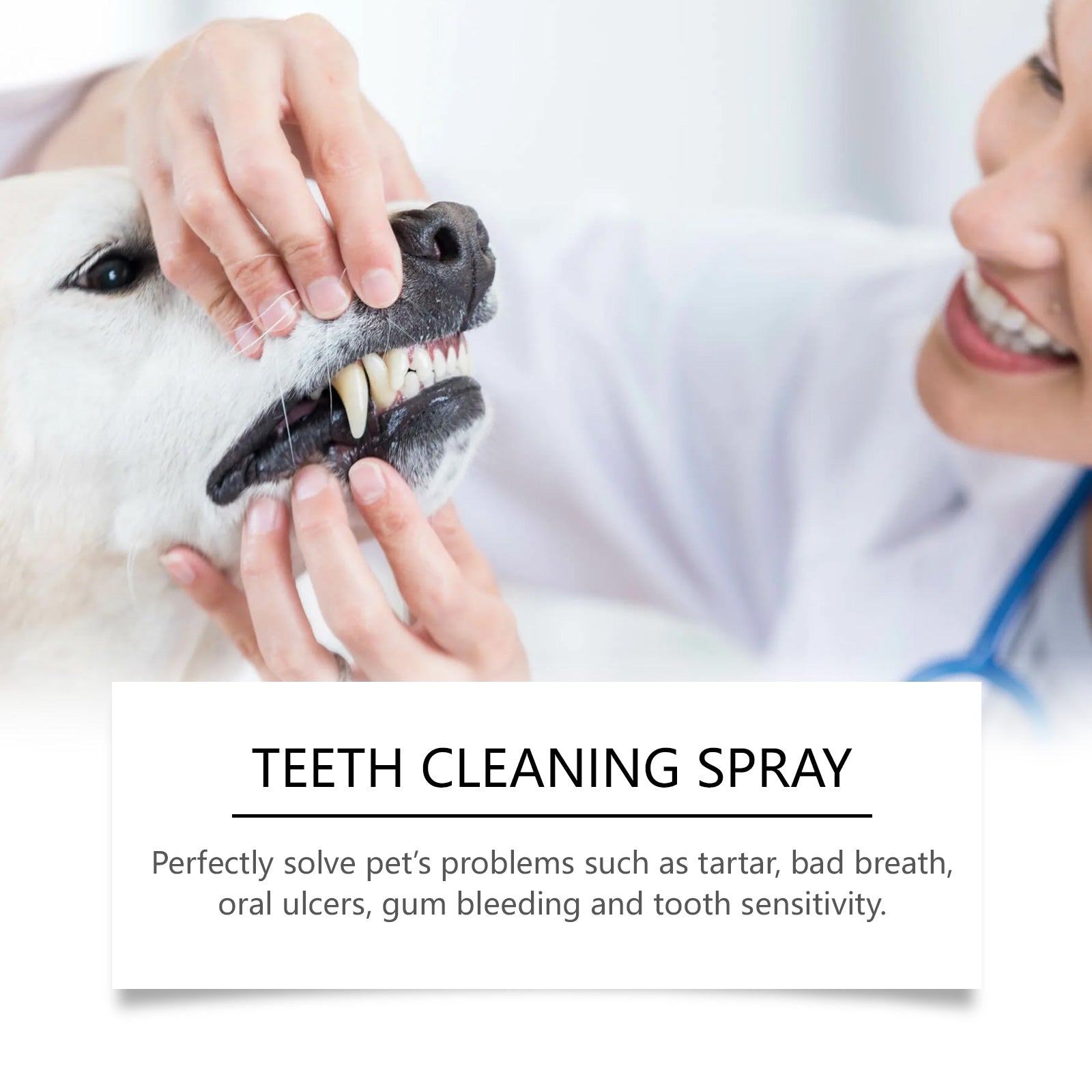 Pet breath freshening spray, cleaning teeth, tartar odor care, lasting fresh care