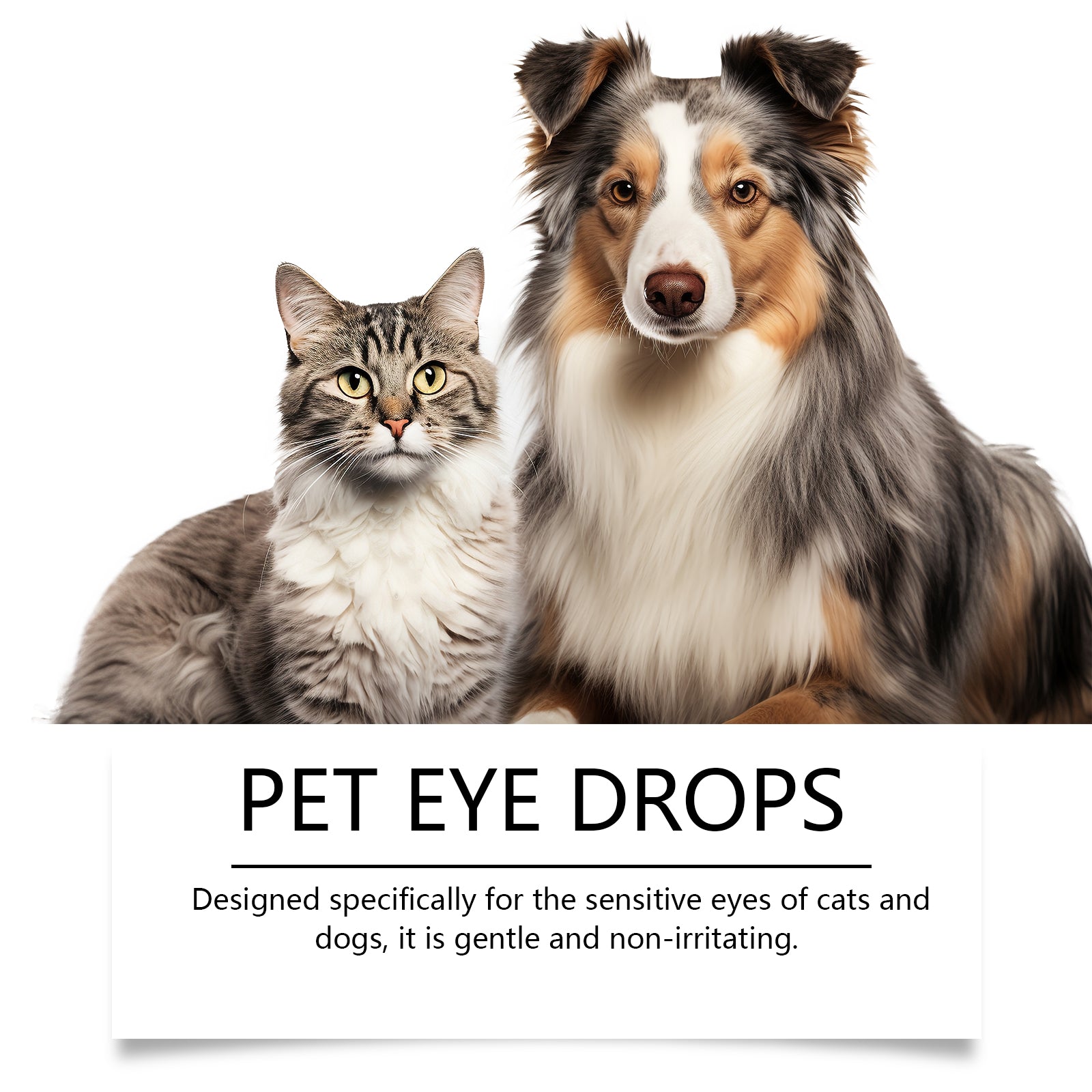 Pet eye drops, dog cleaning tears, pet eye drops, cat eye cleaning products