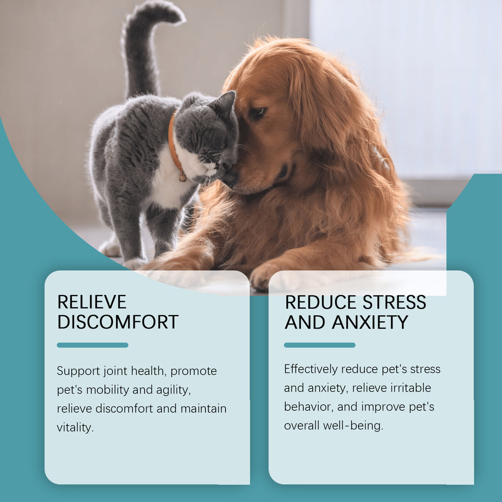 Pet food supplements to care for pets who are unwell Daily care food supplements