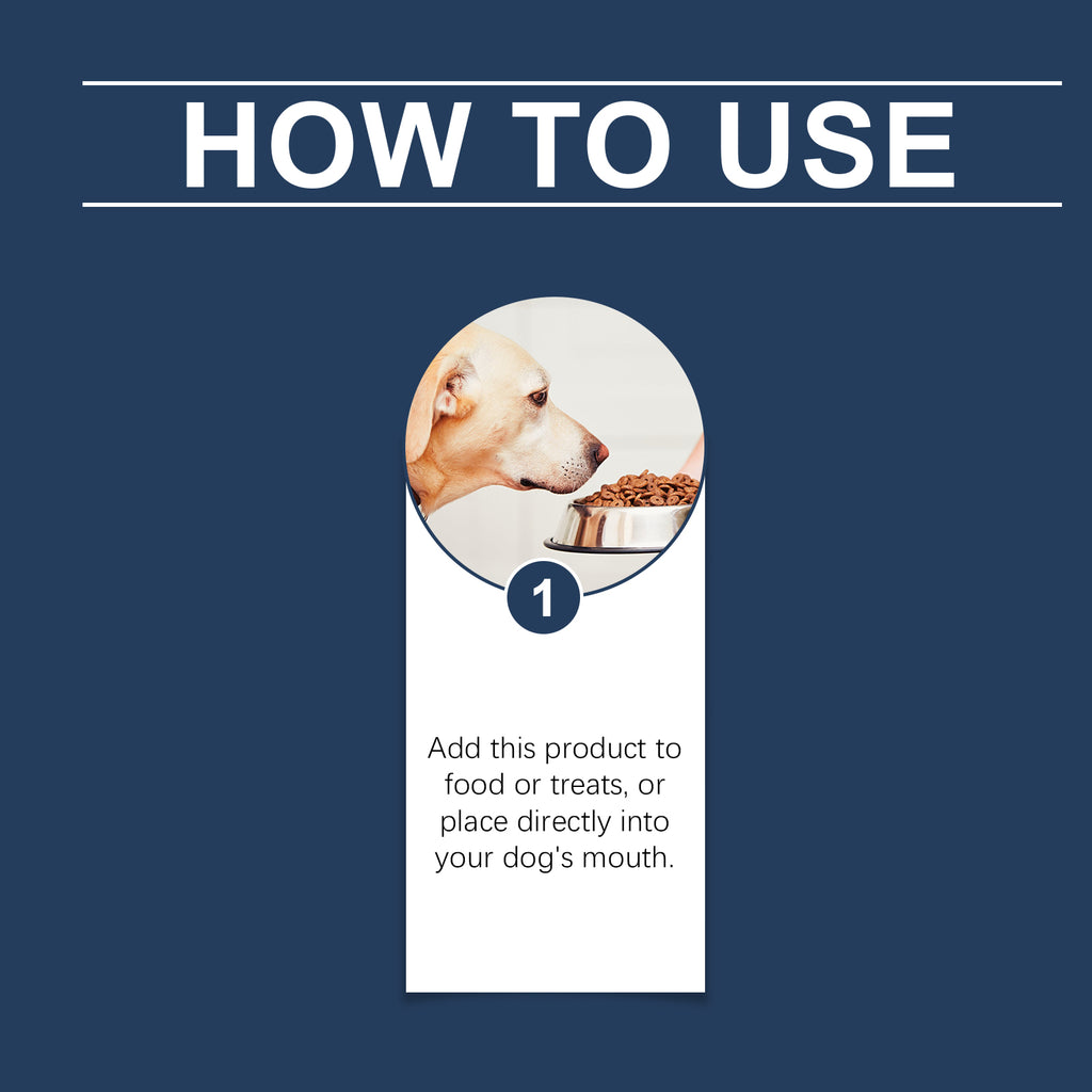 Food Supplements for Dogs to Boost Immunity and Promote Dog Vitality Health Dietary Supplements