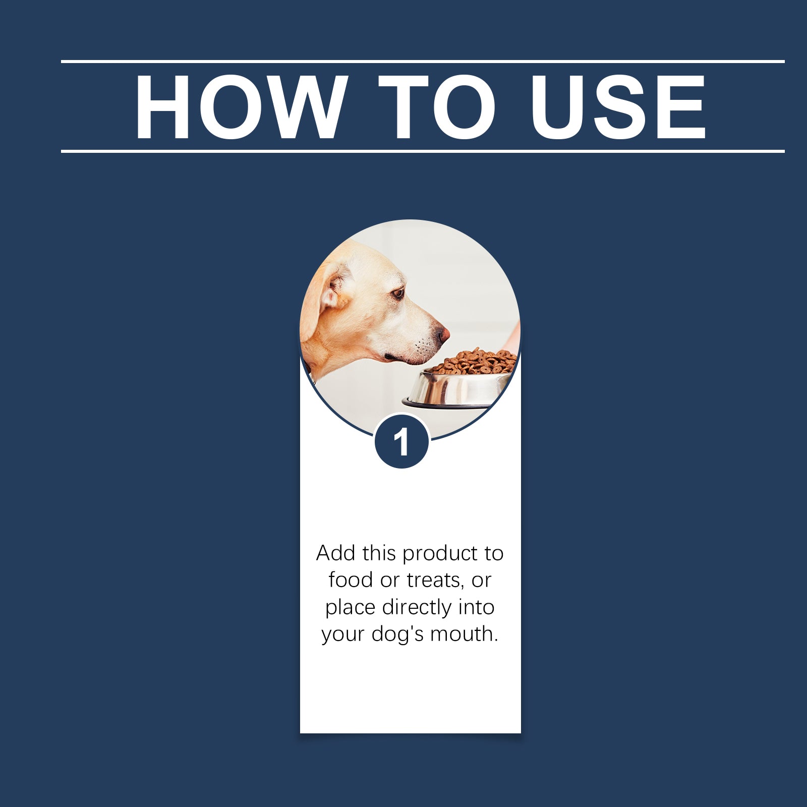 Food Supplements for Dogs to Boost Immunity and Promote Dog Vitality Health Dietary Supplements