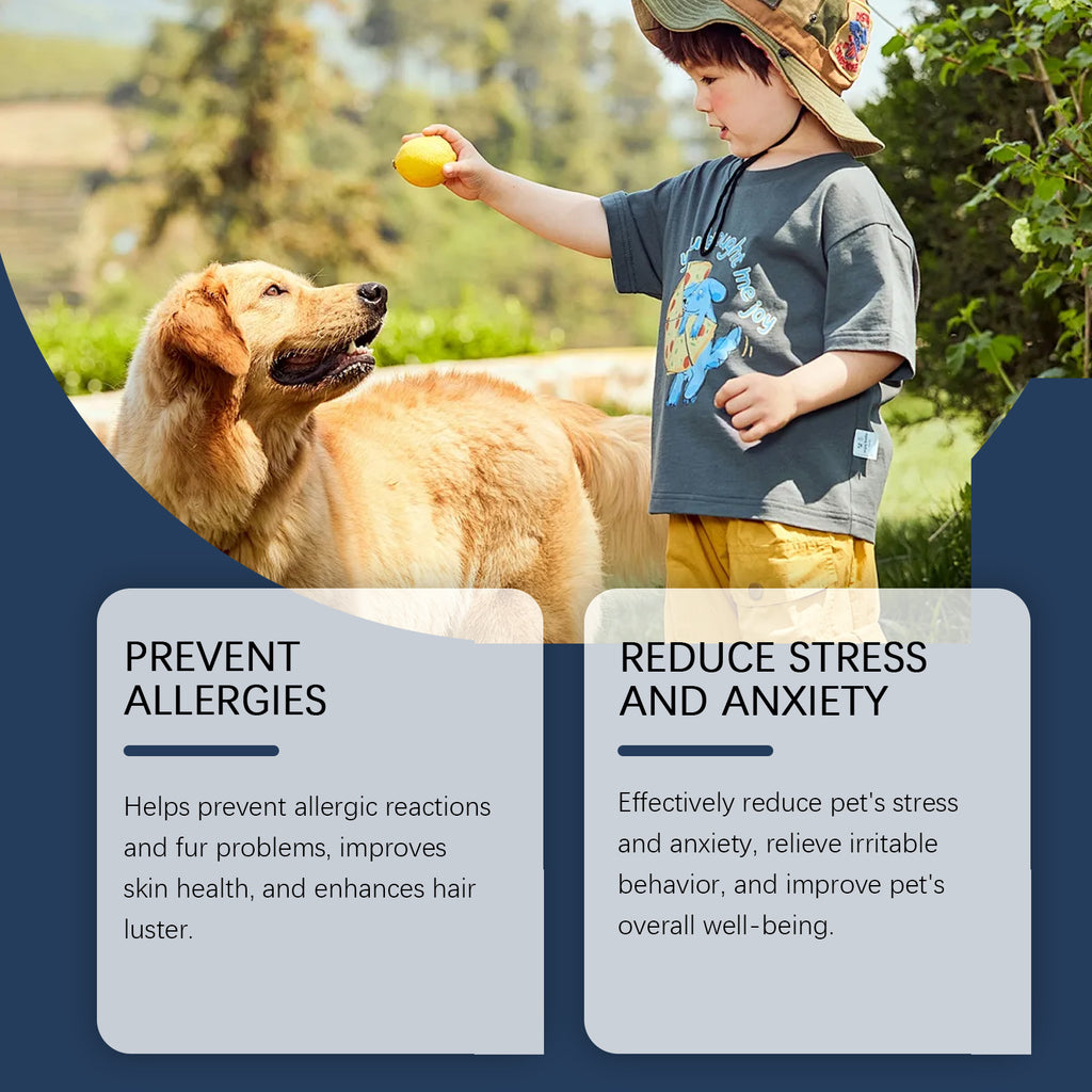 Food Supplements for Dogs to Boost Immunity and Promote Dog Vitality Health Dietary Supplements