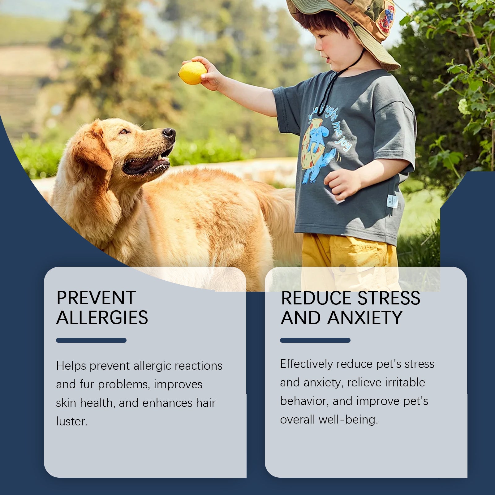 Food Supplements for Dogs to Boost Immunity and Promote Dog Vitality Health Dietary Supplements