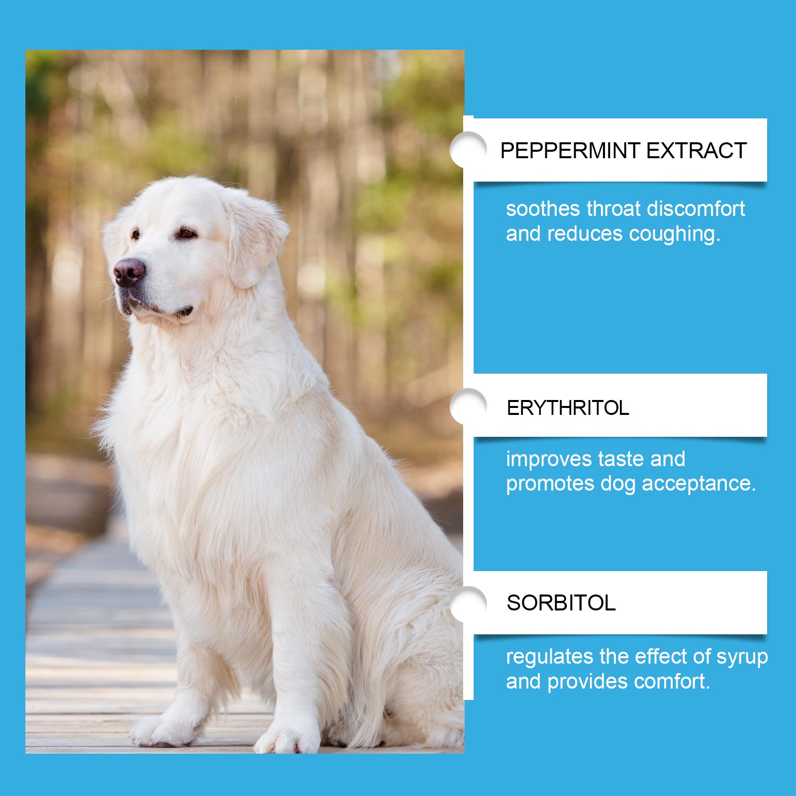 Dog syrup, pet dog dog absorption nutrition care special maintenance supplementary syrup