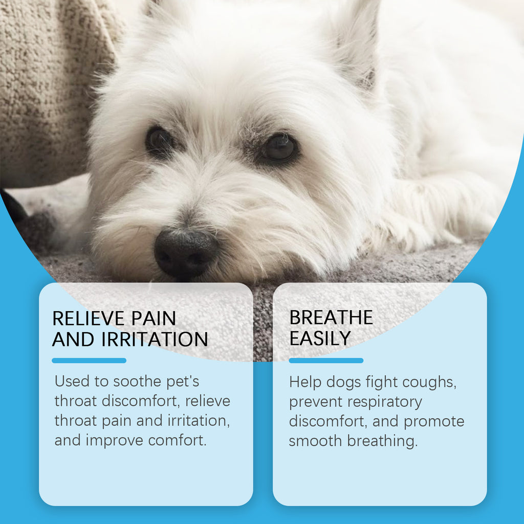 Dog syrup, pet dog dog absorption nutrition care special maintenance supplementary syrup