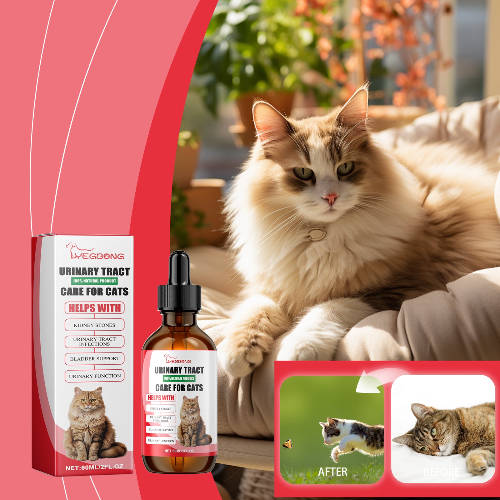 Pet dietary supplements, care for pet physical discomfort, cat absorption nutritional supplements