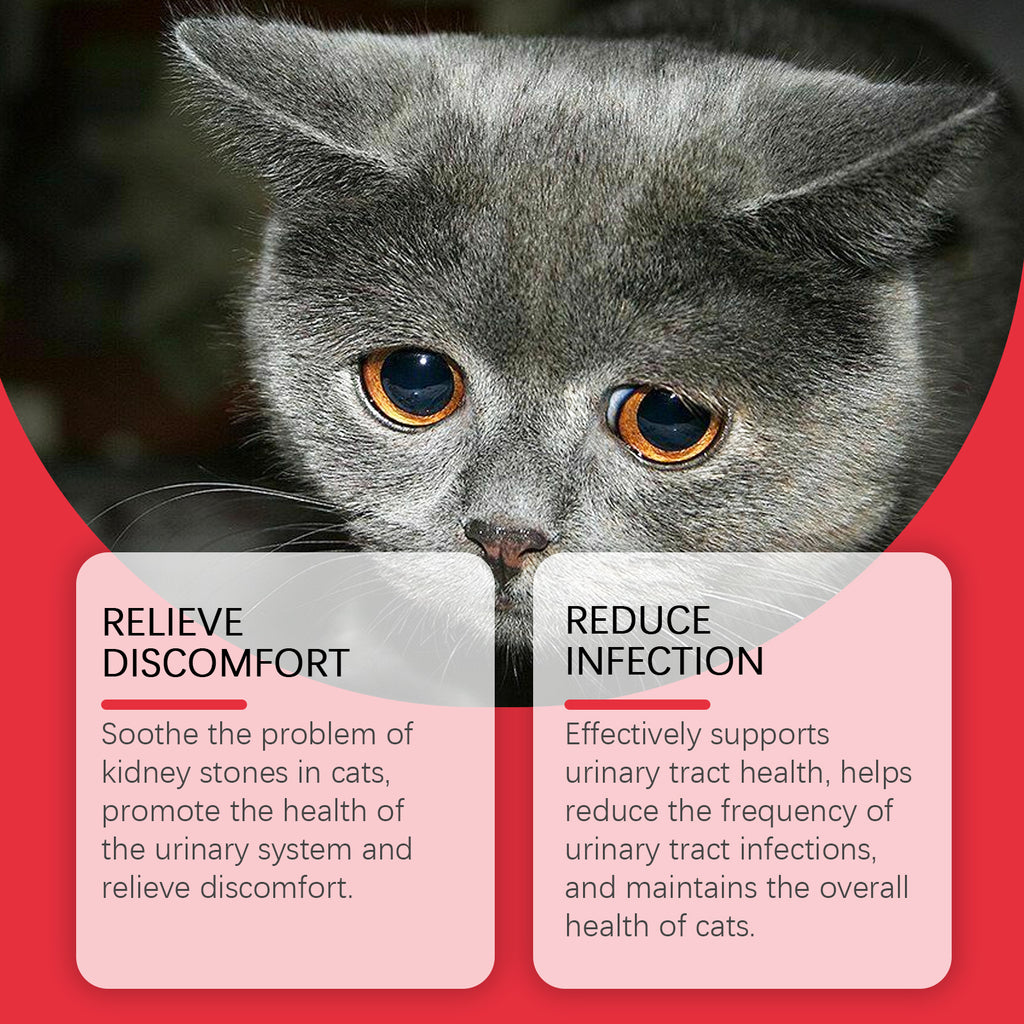 Pet dietary supplements, care for pet physical discomfort, cat absorption nutritional supplements