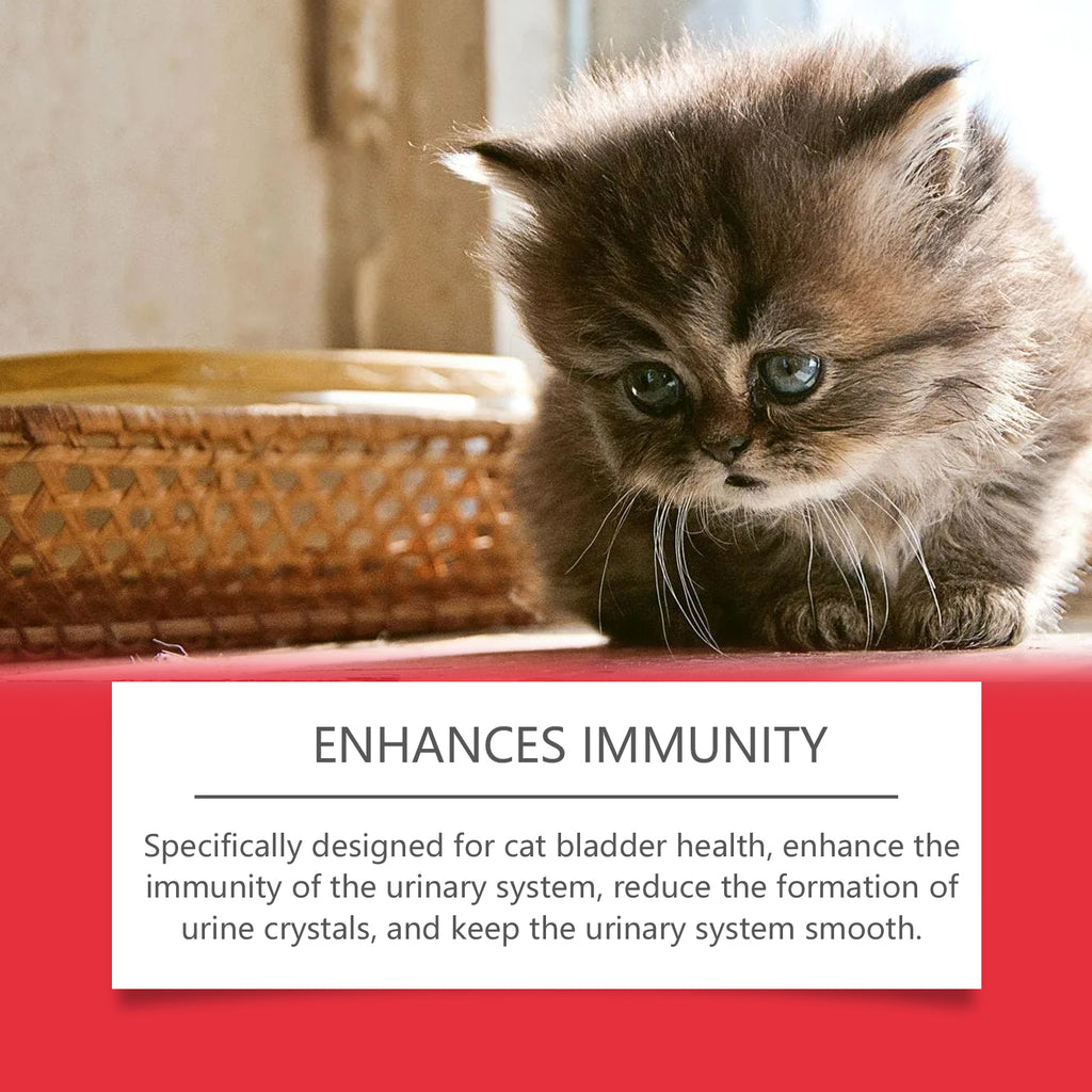 Pet dietary supplements, care for pet physical discomfort, cat absorption nutritional supplements