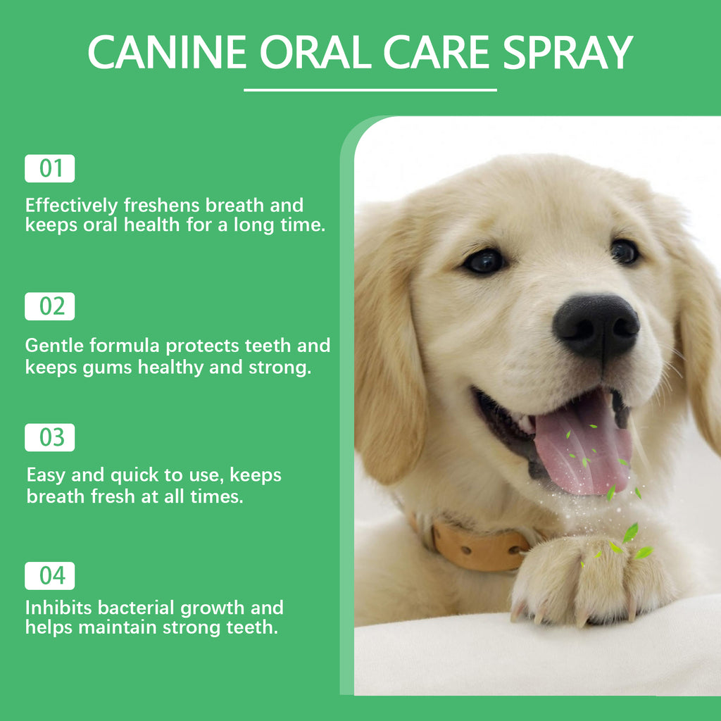 Pet oral spray, dog care, easy care for pet oral odor and yellow teeth