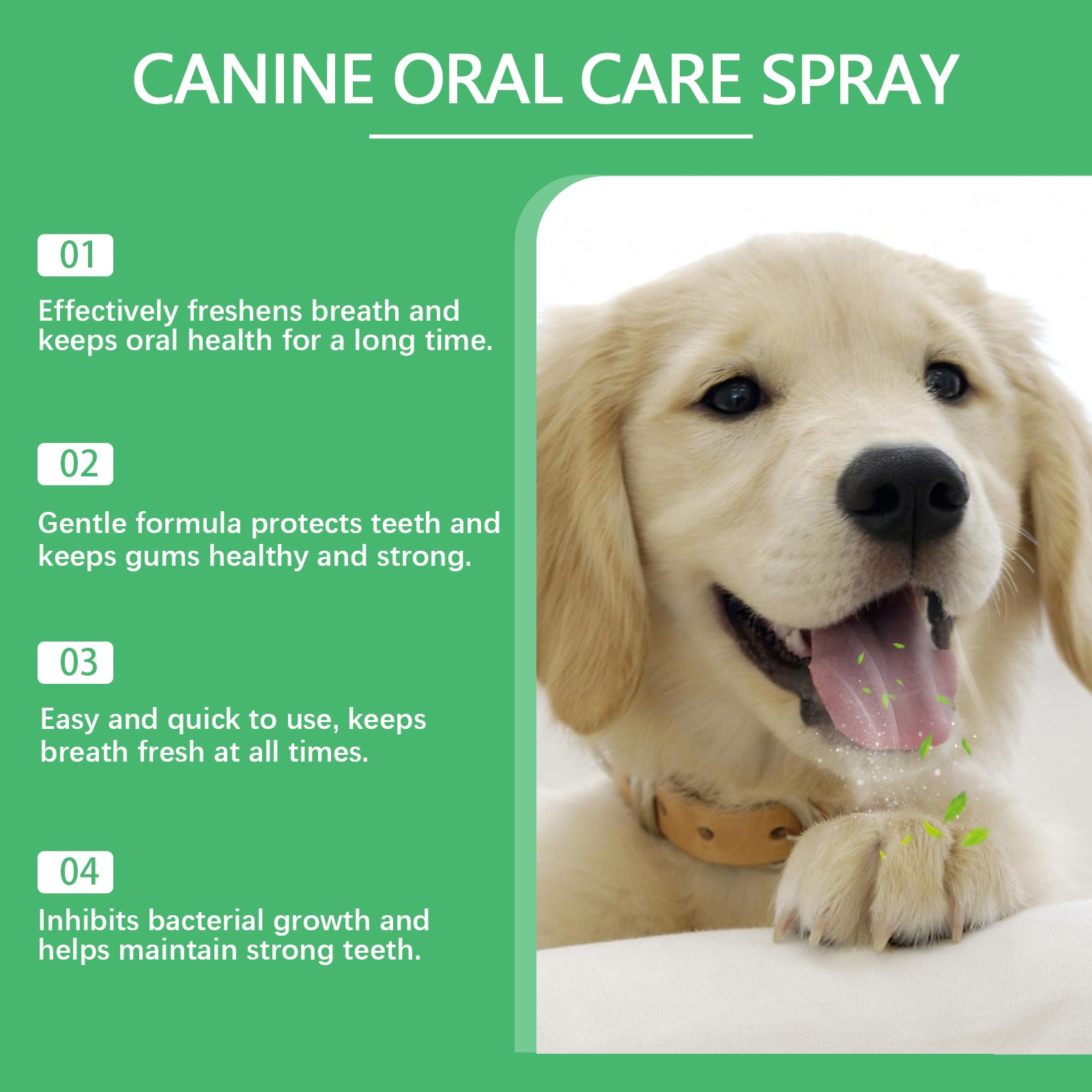 Pet oral spray, dog care, easy care for pet oral odor and yellow teeth