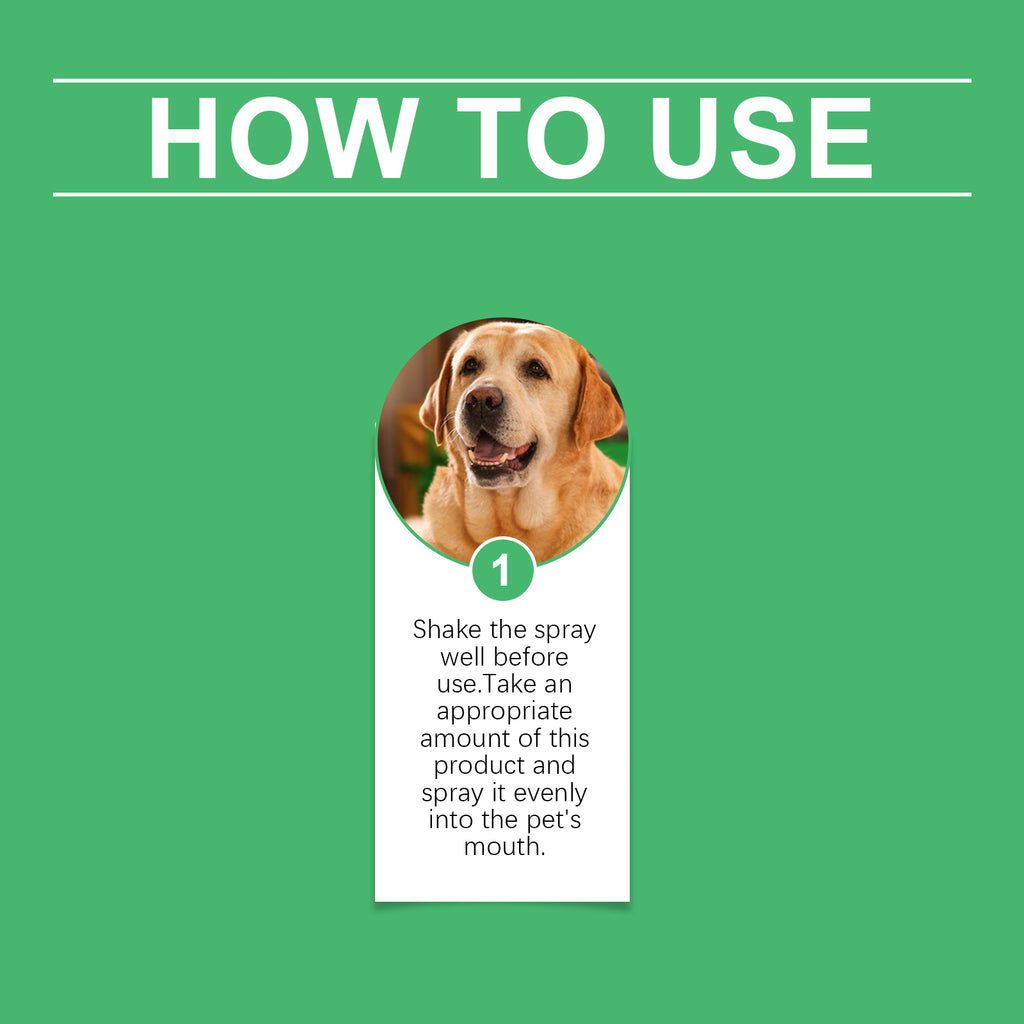 Pet oral spray, dog care, easy care for pet oral odor and yellow teeth