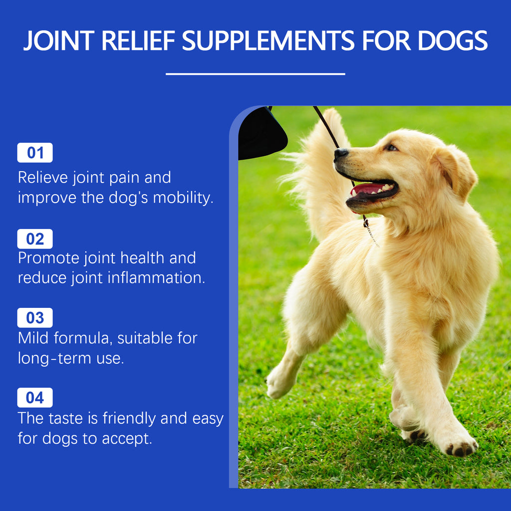 Pet dog joint supplement to improve nutrition and care for joint health Pet joint care agent