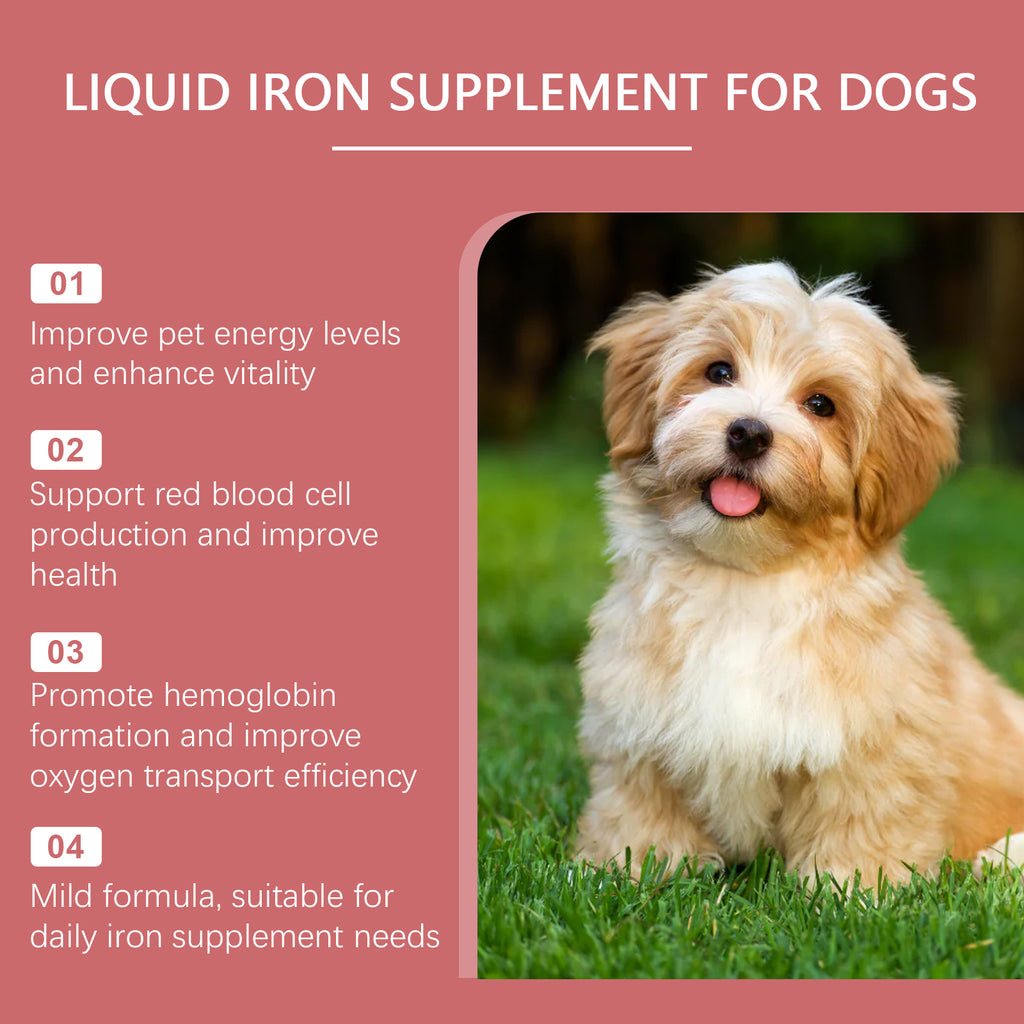 Pet Dog Syrup, Pampering Dog Gentle Ingredients Help Absorb Care Supplements