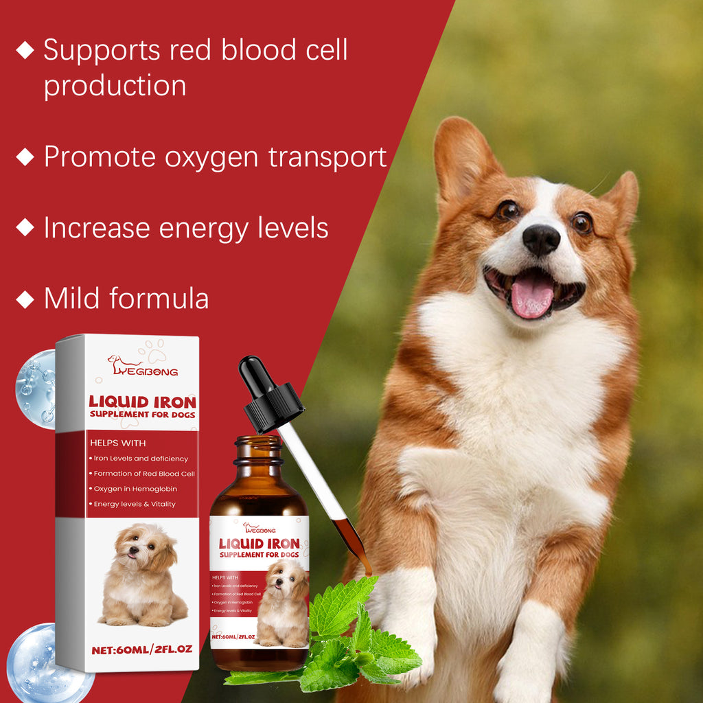Pet Dog Syrup, Pampering Dog Gentle Ingredients Help Absorb Care Supplements