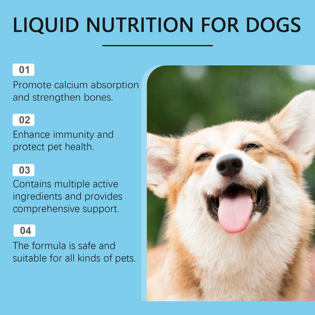 Pet Vitamin Supplement Drops to Boost Immune Vitality Health Dietary Supplement Drops