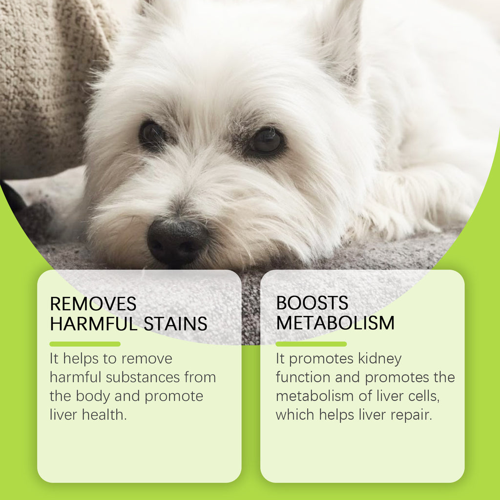 Dog Care Drops to Enhance Nutrition and Revitalize Dogs Comprehensive Health Dietary Supplement