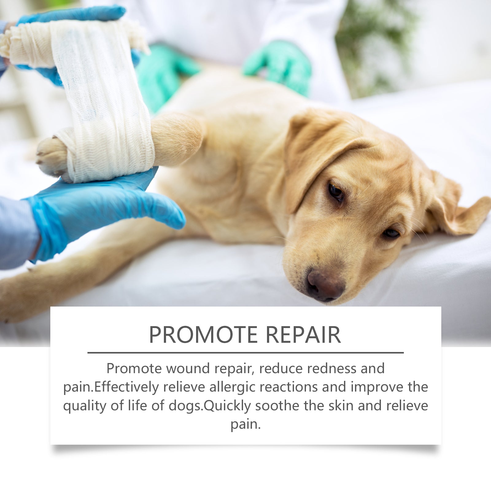 Dog Care Spray, Cleansing Dog Care Pet Plant Essence Skin Care Spray