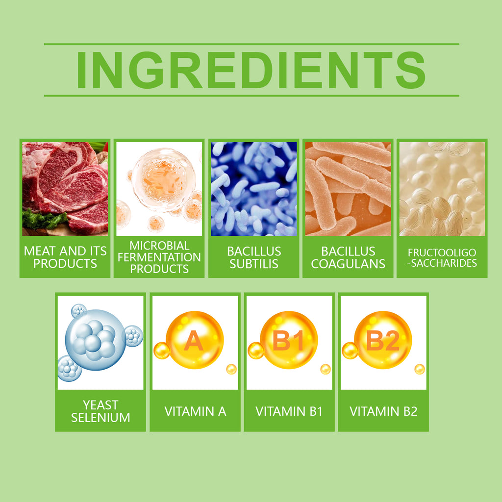 Pet Probiotic Tablets to Improve Gut Health and Promote Nutrient Absorption Pet Care Supplements