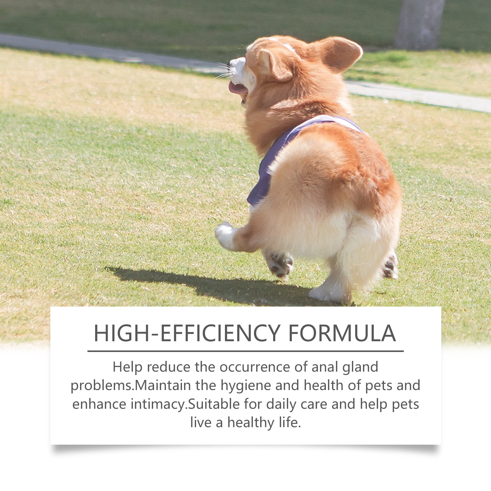 Dog anal gland deodorant spray, mild ingredients, fresh, clean and deodorant aftercare