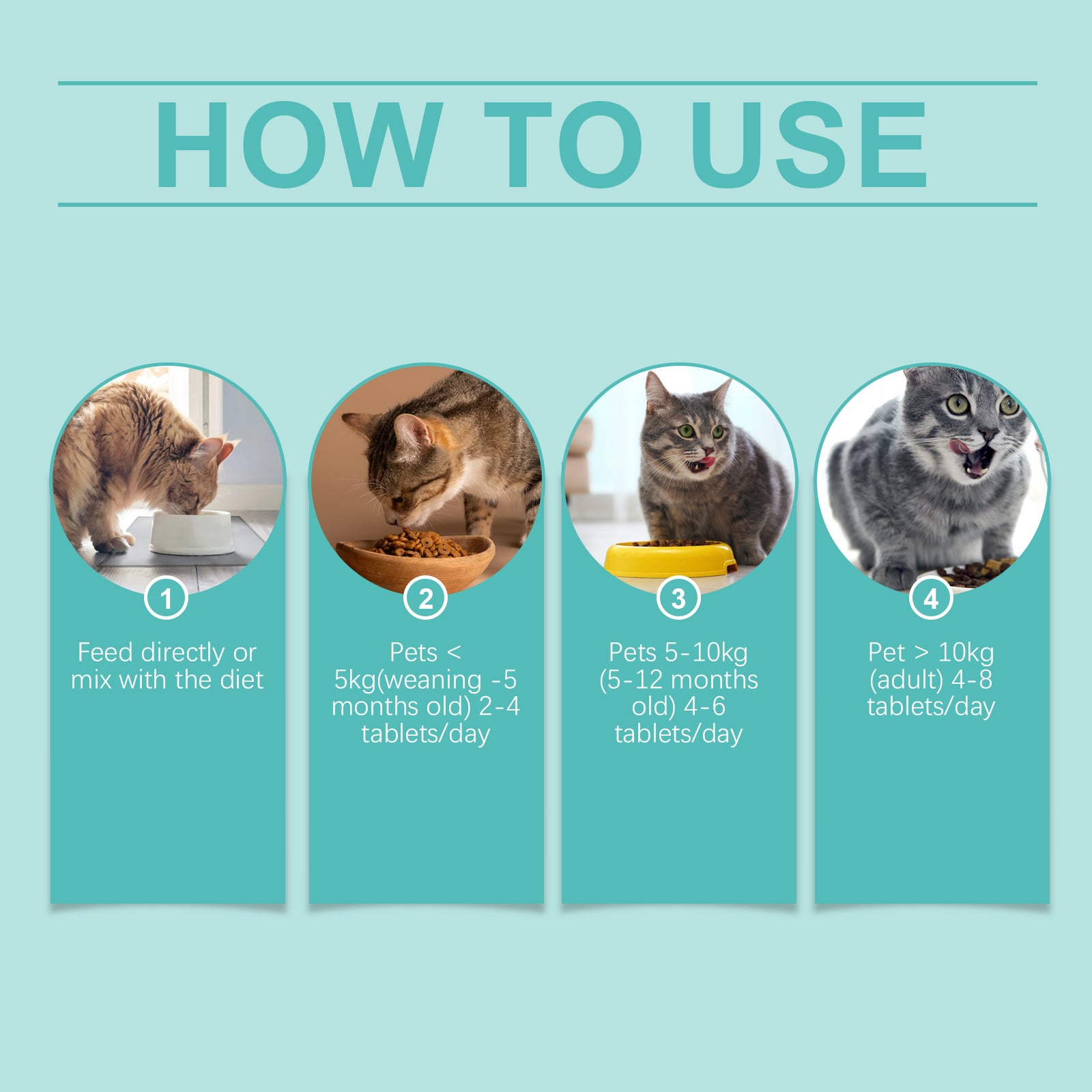 Cat probiotic tablets to improve intestinal health, balance digestion and absorption of pet nutritional supplements