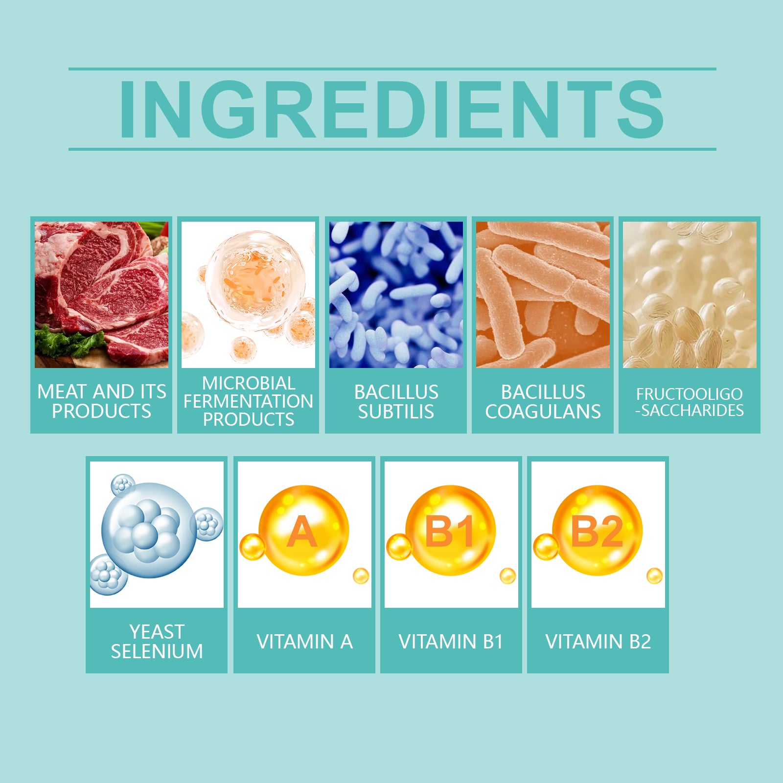 Cat probiotic tablets to improve intestinal health, balance digestion and absorption of pet nutritional supplements