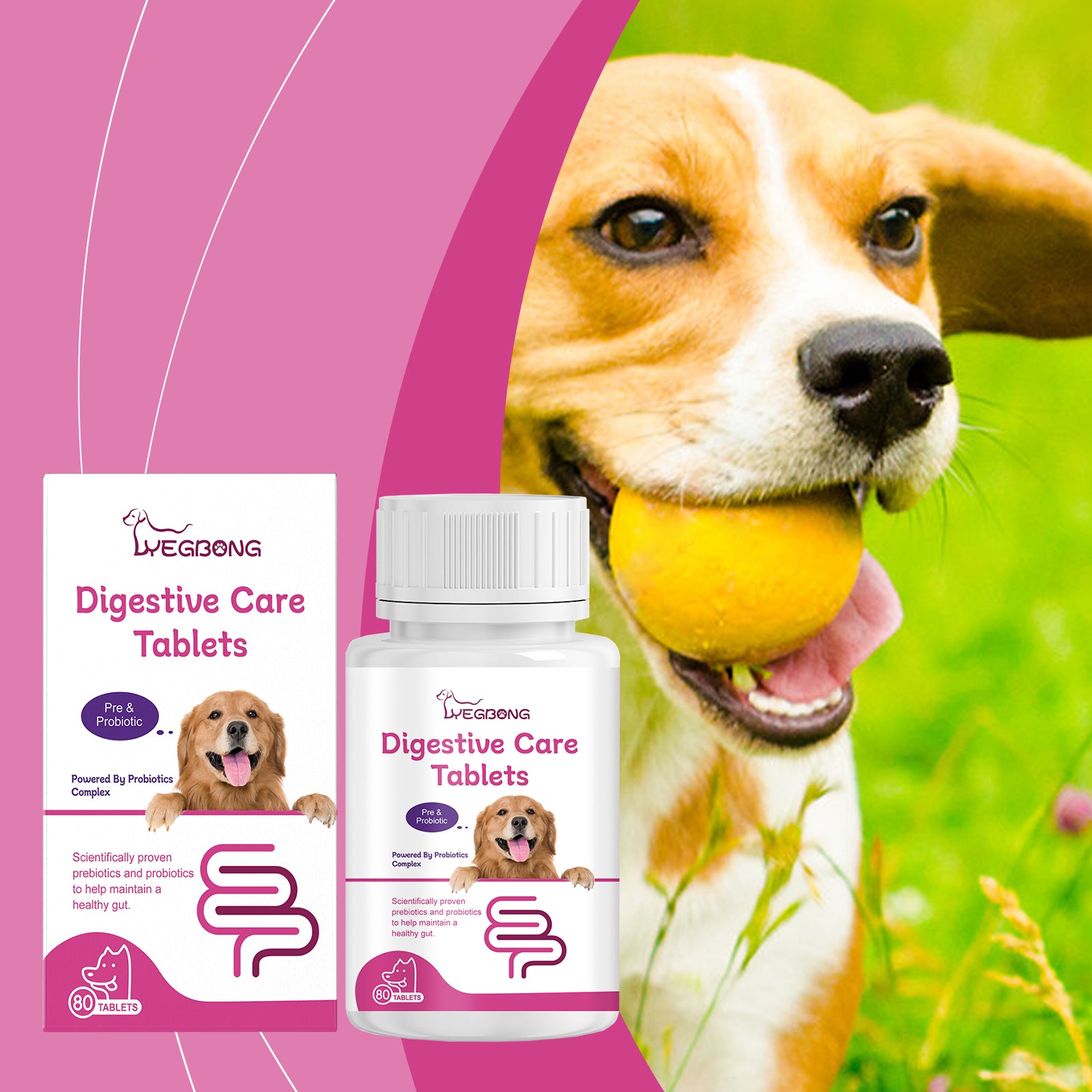Dog Probiotic Tablets, Improve Gut Health Balance Digestion Absorption Pet Nutritional Supplements