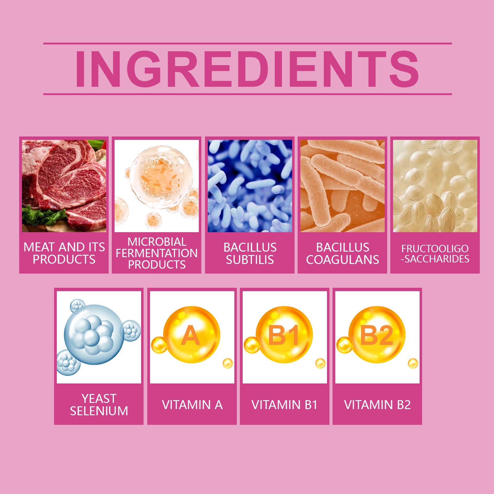 Dog Probiotic Tablets, Improve Gut Health Balance Digestion Absorption Pet Nutritional Supplements