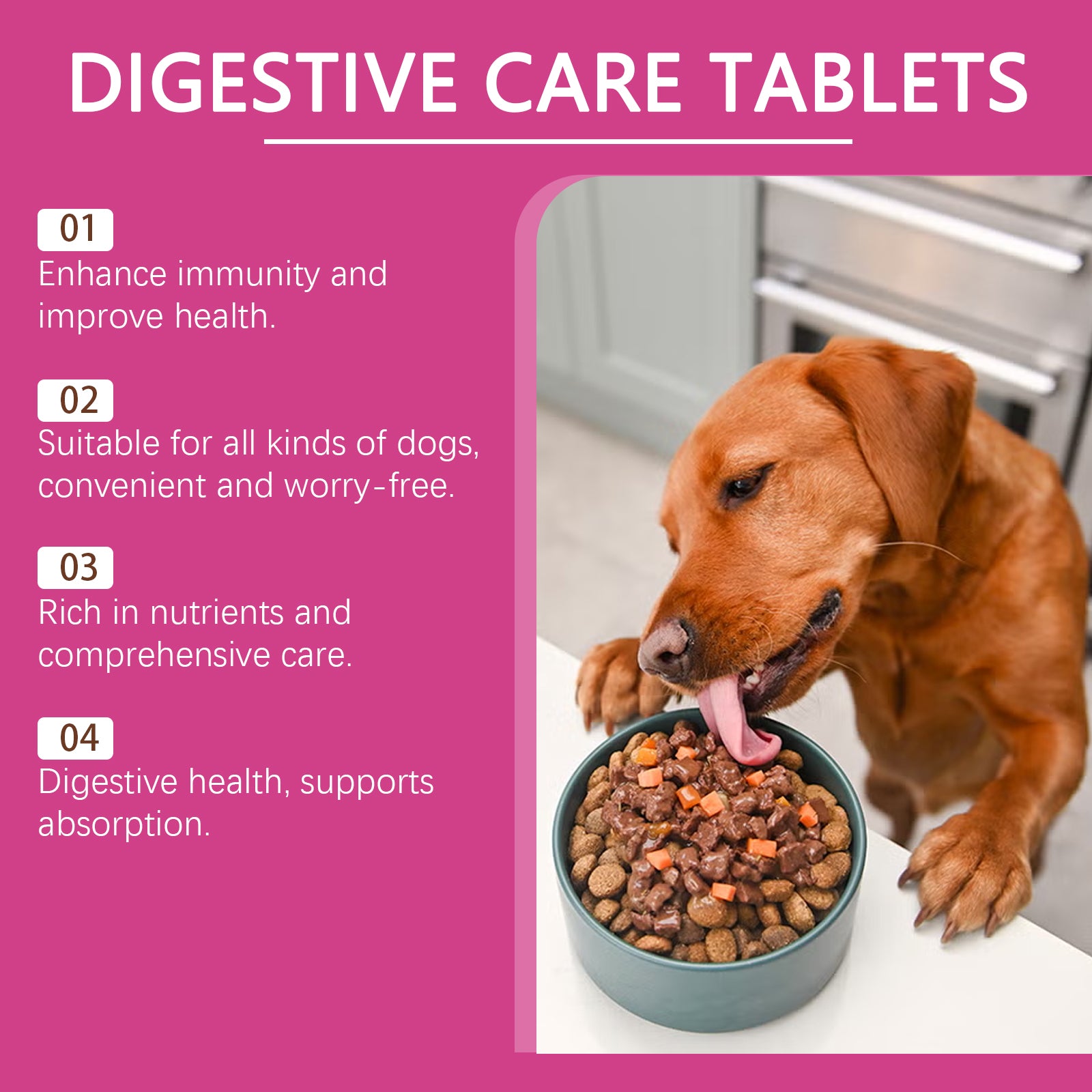 Dog Probiotic Tablets, Improve Gut Health Balance Digestion Absorption Pet Nutritional Supplements