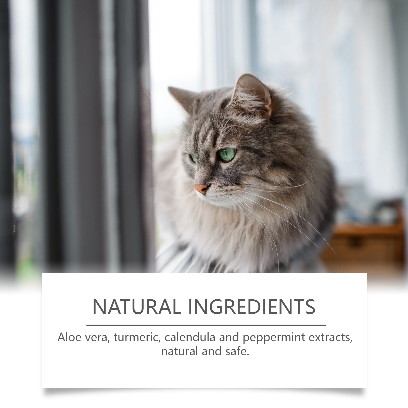 Pet body care spray relieves pet discomfort Mild ingredient care spray