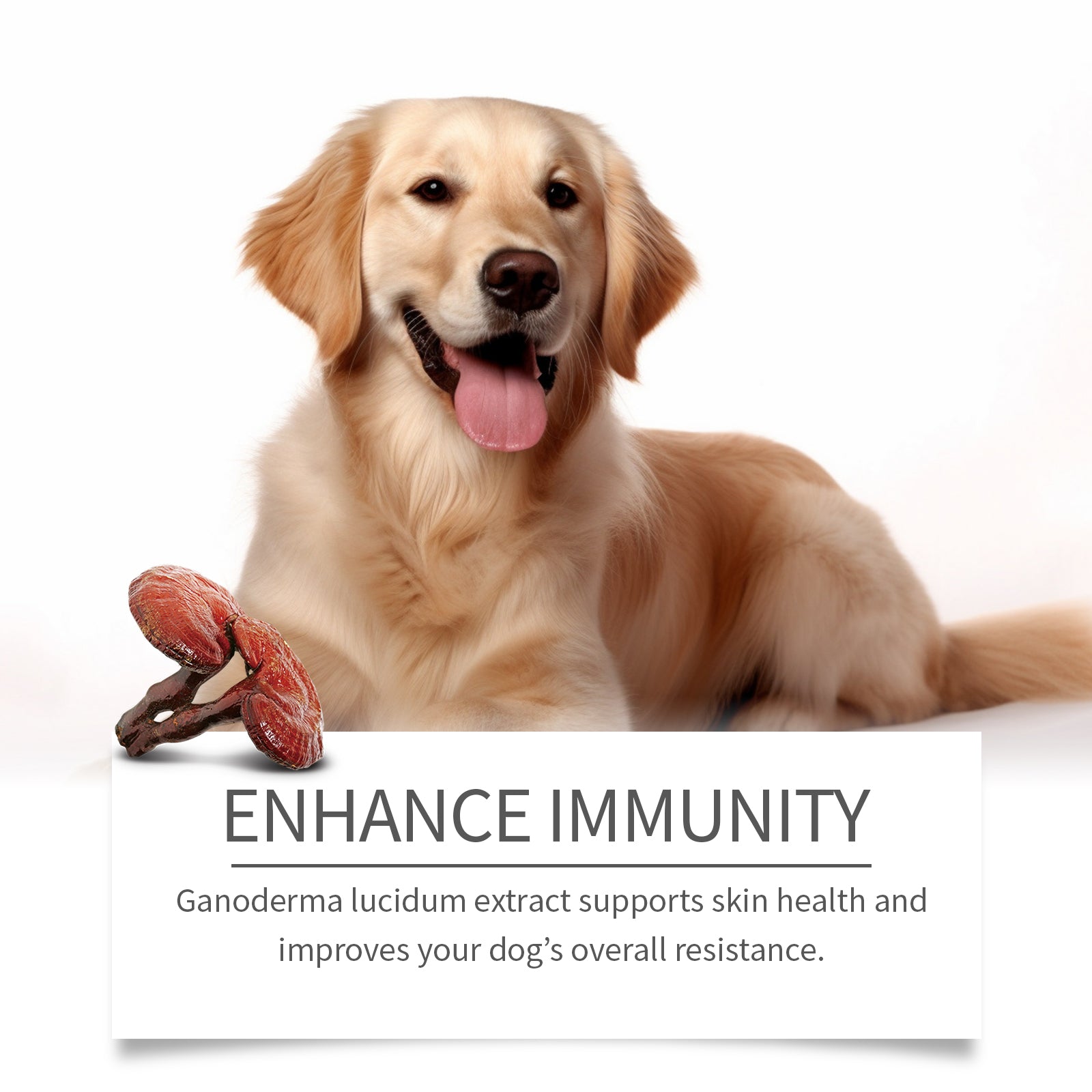 Dog Skin Cleansing Cream, Gentle Herbal Ingredient Formula to Care for Dog Body Skin Cleansing