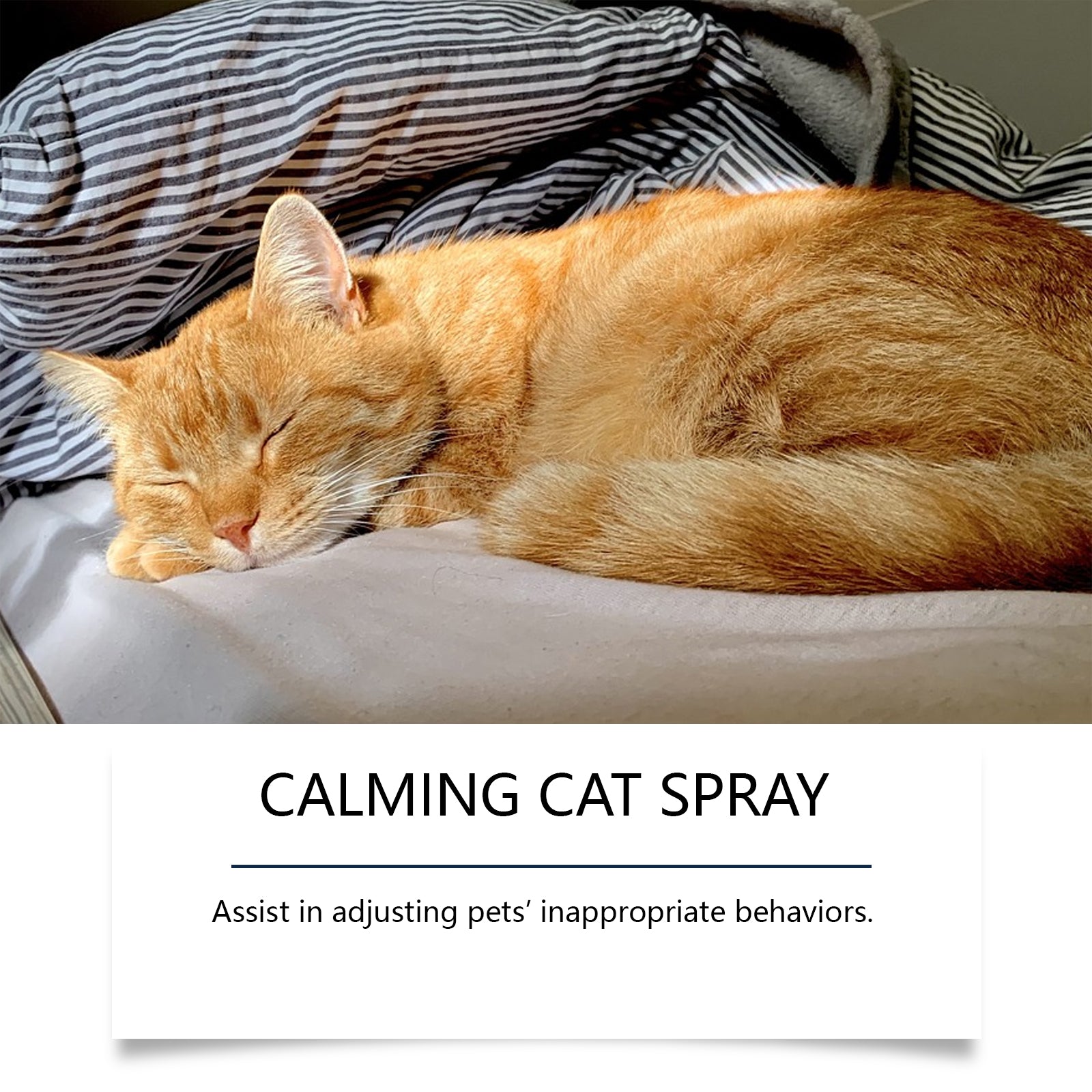 Cat Care Spray, Soothing Emotions Cat Anti-scratching Urinary Behavior Gentle Care Spray